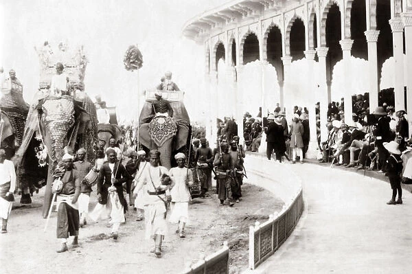 Elephants, Delhi Durbar, India 1903