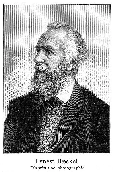 Ernst Haeckel - 3