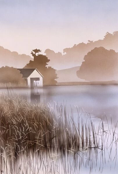 Evening lakeside scene with reeds