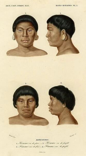 Faces of racial types, Botocudo tribe