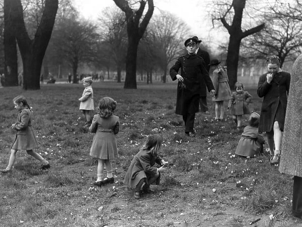 First crocuses of the year in St. James Park, 1948