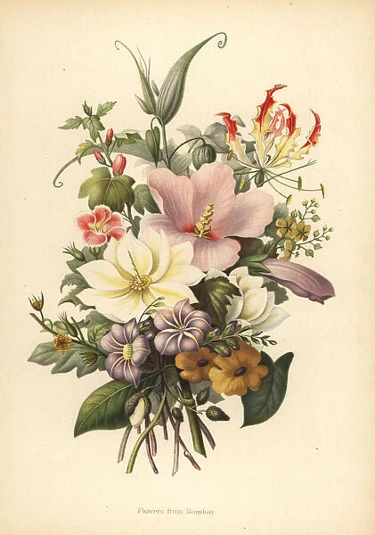 Flowers from Bombay, India