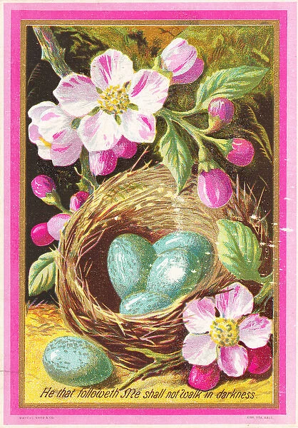 Flowers and a nest of eggs on an Easter card