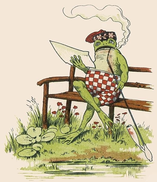 Frogs as Humans (1 of 5)