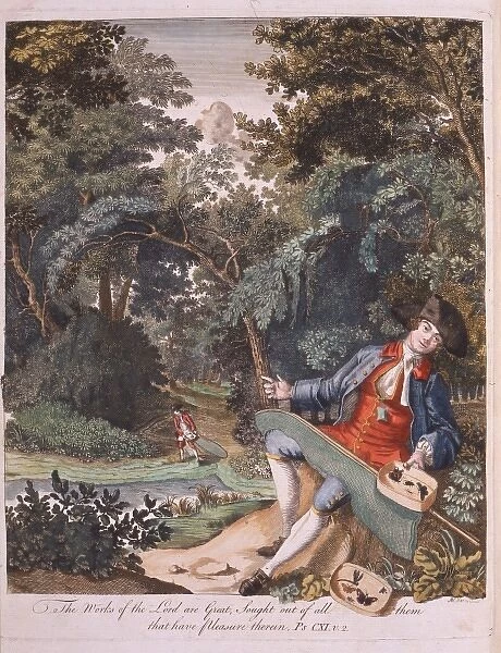 Frontispiece from The Aurelian, by Moses Harris, 1766