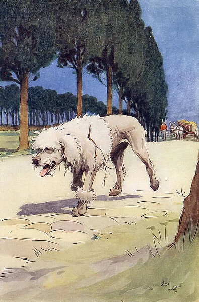 Frontispiece illustration by Cecil Aldin, Moufflou, by Ouida