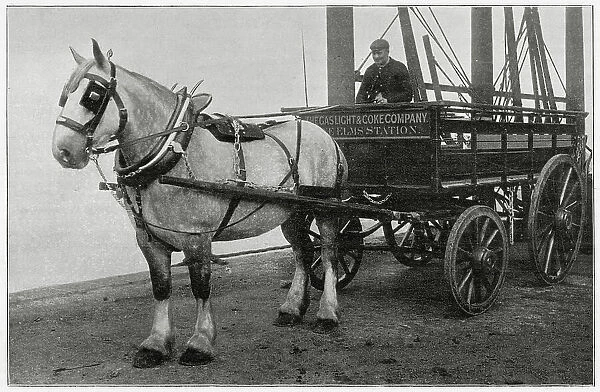 Gas Light & Coke Company in Nine Elms on the south bank of the River Thames, photograph showing their shire horse and carriage. Date: 1897