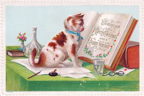Ginger and white cat on a Christmas card