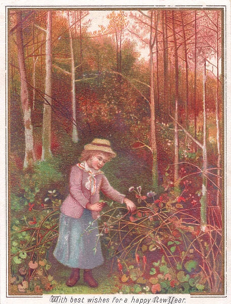 Girl in a wood with brambles on a New Year card
