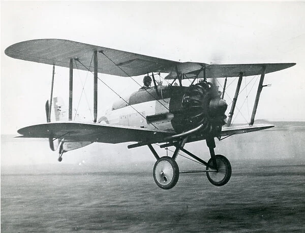 Gloster Gamecock II