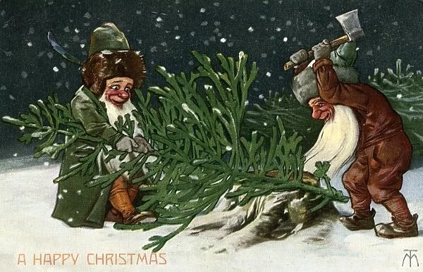 Gnomes shop down Christmas tree
