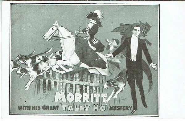 The Great Tally Ho Mystery - Charles Morritt