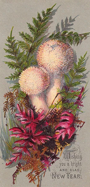 Green and red ferns with mushrooms on a New Year card