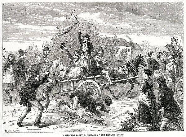 Hauling home, wedding party in Ireland 1870