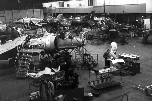 Hawker Siddeley Harrier production