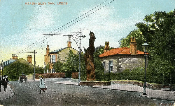 The Headingley Oak, Headingley, Yorkshire