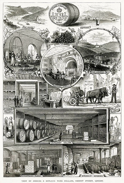Hedges & Butlers Wine 1890