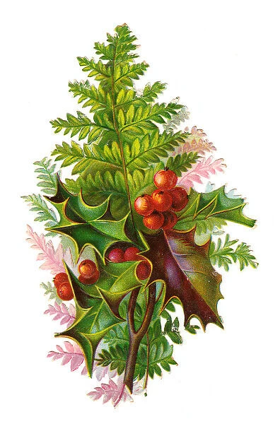Holly and fern on a Victorian Christmas scrap