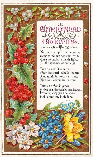Holly, mistletoe and flowers on a Christmas card