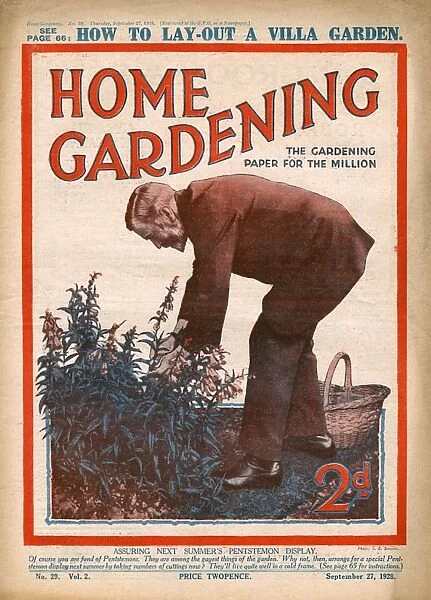 Home Gardening magazine, September 1928