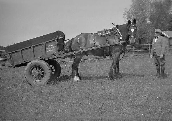 Horse and cart with owner