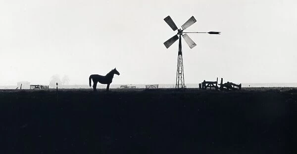 Horse and wind tower in a misty field
