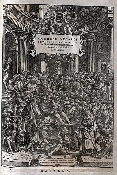 De humani corporis fabrica libri septem - Vesalius