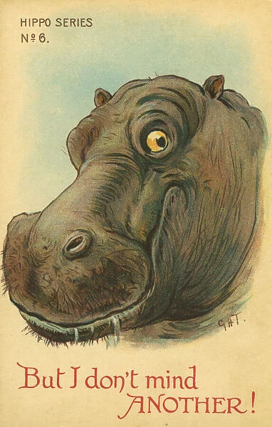 Hippo. But I don t mind another! Illustrated comic postcard of a happy hippo