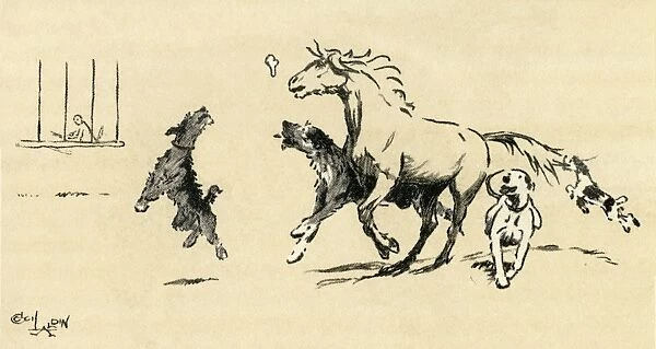 Illustration by Cecil Aldin, Exmoor pony and dogs at play