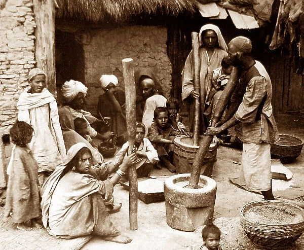 India - Cashmere shelling rice early 1900s