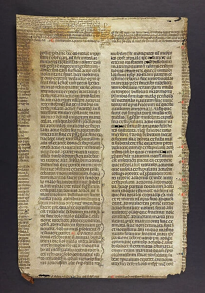 Justinian's Codex, Book V. XIII (Fragment)