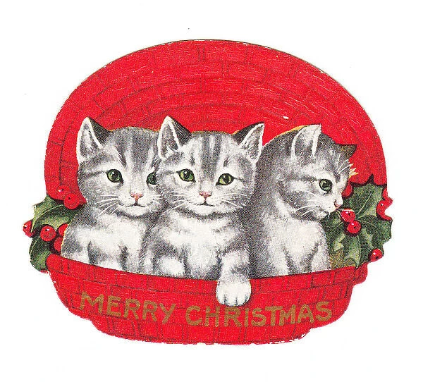 Three kittens in a basket on a cutout Christmas card