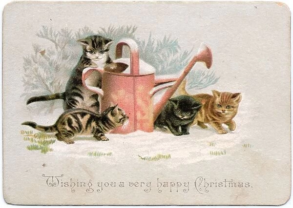 Four kittens with watering can on a Christmas card