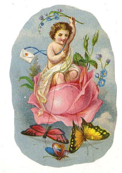 Label, Cherub with Love Letter riding in a rose