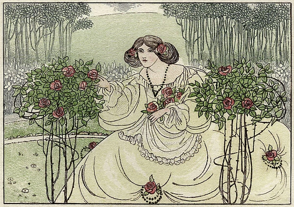Lady tending rose trees