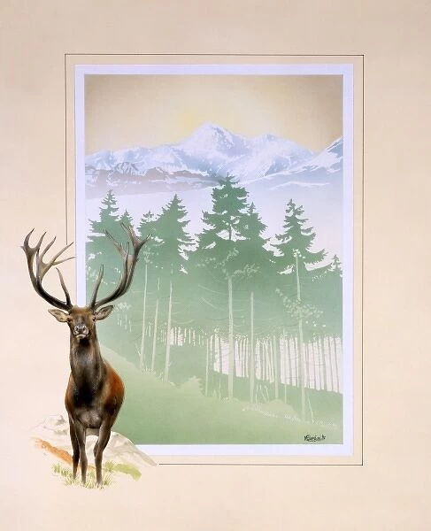 Large Red deer stag and mountainous woodland landscape