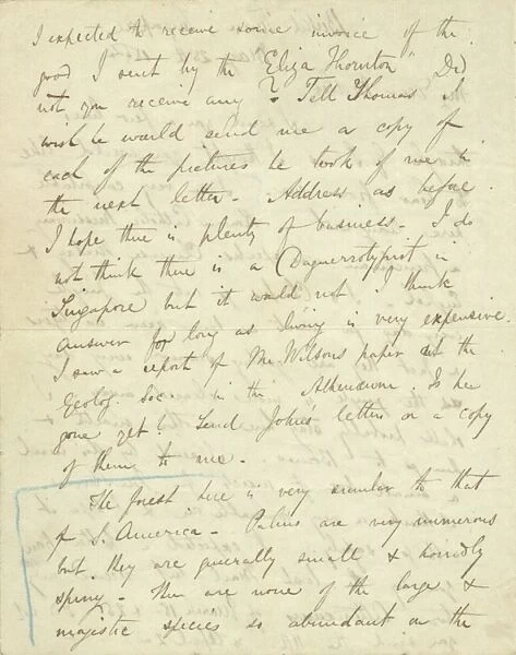 Letter from A. R. Wallace to his mother, 28 May 1854