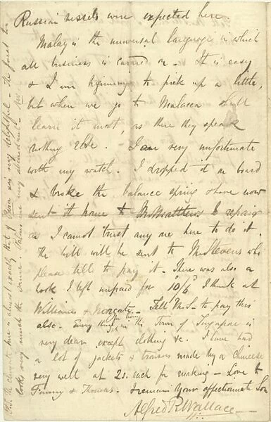 Letter from A. R. Wallace to his mother, 30 April 1854
