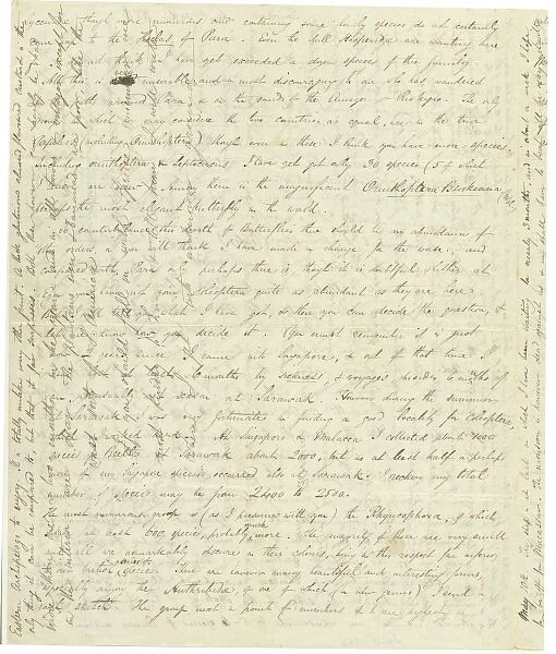 Letter written by Wallace, Alfred Russel (1823-1913)