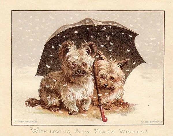 Two little dogs in the snow on a New Year card