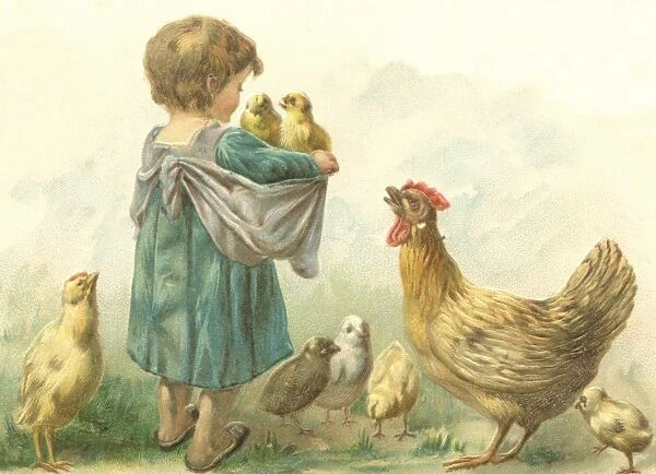 Little girl with chicks