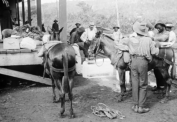 Loading beef and ice at Culebra Railway Station in Panama