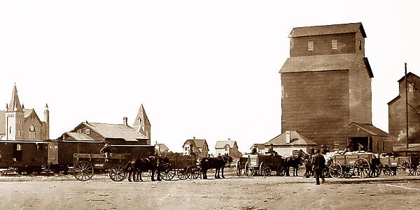 Loading grain on the Canadian Prairies, early 1900s