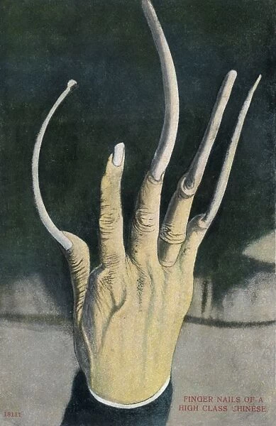 Long fingernails of a High Class Chinese Man