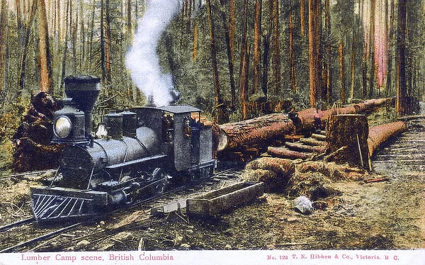 Lumber Camp scene - Train - British Columbia, Canada