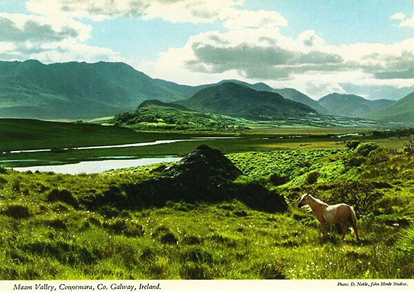 Maam valley, Connemara, County Galway, Republic of Ireland