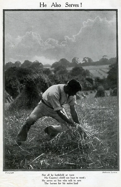 Man harvesting in a field, He Also Serves, WW1