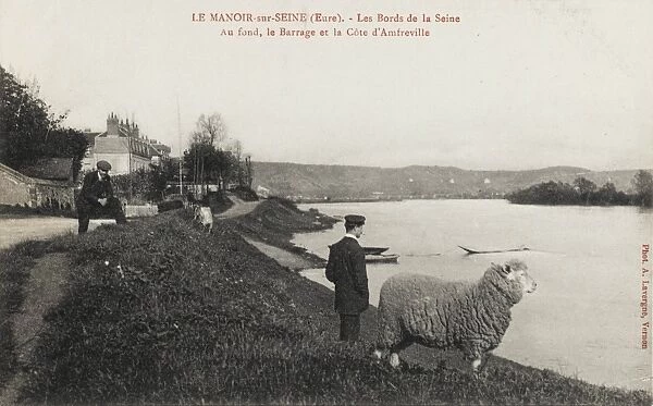 Man & Sheep stare across the Seine
