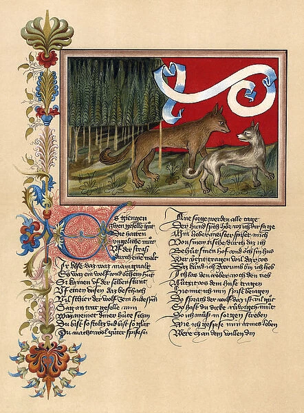 Manuscript with story about a dog and a wolf