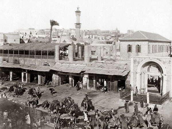 Market at Jaffa, Palestine (Israel) circa 1880s